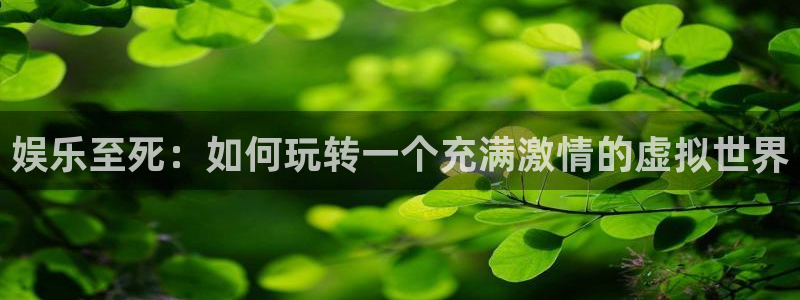 pg国际官网