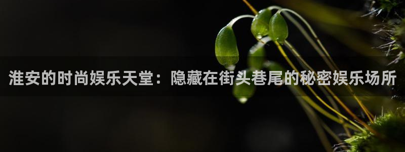 pg国际服