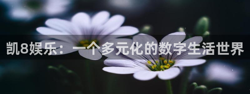 pg国际服