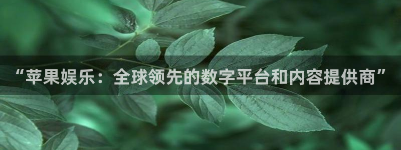 pg国际服
