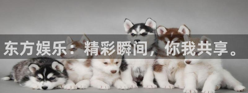 pg国际下载
