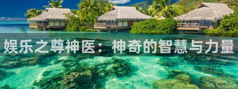 pg国际官网